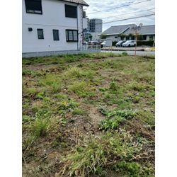 🌿 草刈りでも「草むしり級」の仕上がり！の画像1