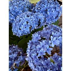 6月です→新しい取り組みの画像1