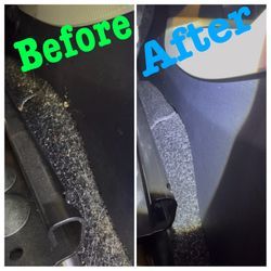 車内クリーニング【動物の毛】の画像2