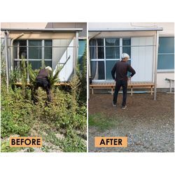 スタッフ紹介と作業レポート🌳✨の画像1