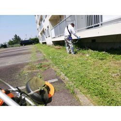 草刈り②の画像1