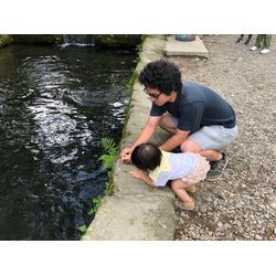 夏休みの長期お出かけ！観葉植物のお留守番テクニックの画像1