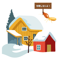 シロアリは冬眠しません！の画像1