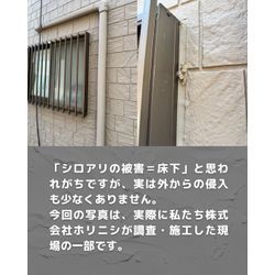 シロアリは床下だけじゃない。外からも忍び寄っていますの画像2