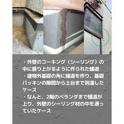 シロアリは床下だけじゃない。外からも忍び寄っていますの画像3