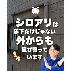 シロアリは床下だけじゃない。外からも忍び寄っていますの画像1