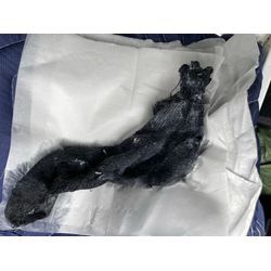 厚木市でドラム式洗濯機詰まりの除去作業に行ってきました！の画像1