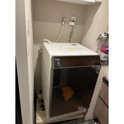 府中市　洗濯機排水口詰まり除去！の画像1