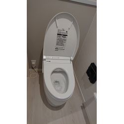 ☆素敵なお部屋のトイレクリーニング☆の画像1