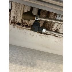 【隅々までキレイ】の画像1