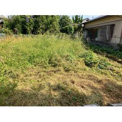 随分と涼しくなってきました。の画像1