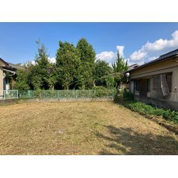 随分と涼しくなってきました。の画像2