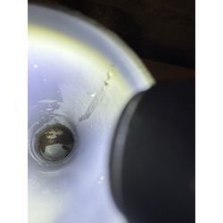 兵庫県明石市、一戸建て住宅排水管洗浄の画像3