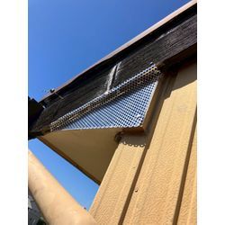 三重県四日市市にてハクビシン駆除防除対策を行いました。の画像3