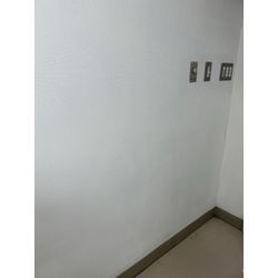 カビやシミの画像2