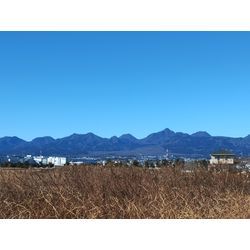 草刈り作業から庭木剪定作業　～群馬高崎の庭師ブログ～の画像2