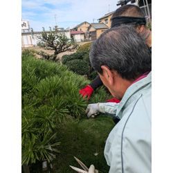 クラリスだより10月号の画像1