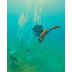 水陸両用カメラマン📸　五島編の画像1