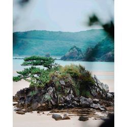 水陸両用カメラマン📸　五島編の画像2