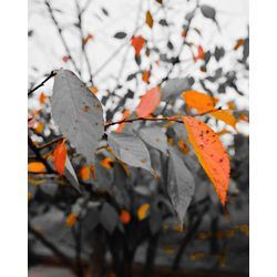 水陸両用カメラマン📸　五島編の画像3