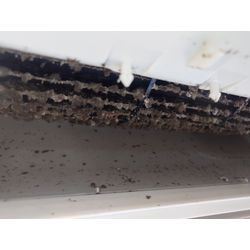 子供の為に…の画像1