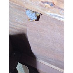 繁忙期に片足入ってます！の画像2