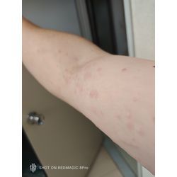 繁忙期に片足入ってます！の画像1