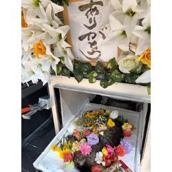 動物保護活動をされている方からのご依頼の画像1