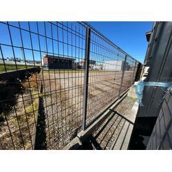 伐採しました　ノウゼンカズラの画像3