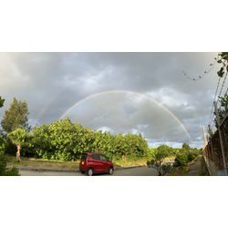 今日も良い日の画像1