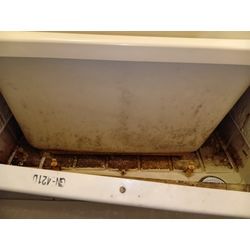 入居前の除菌クリーニングお風呂編の画像2