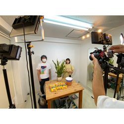 ブログを思いっきり何回も書いてみて感じたこと「オプション白梅」の画像1