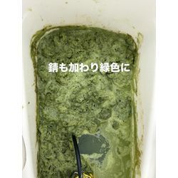 お風呂の季節になりましたね🛁の画像3