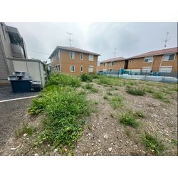 草むしりをさせて頂きました！の画像1