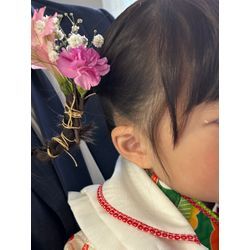 可愛い😍姉妹(ポニーとツイン)の画像2