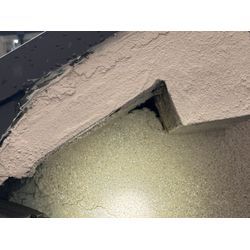 大田区ネズミ駆除の画像1