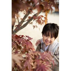 【住吉神社での七五三】元気一杯に駆け回ってくれました！の画像2