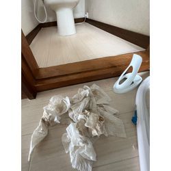 6/11お掃除代行の画像3