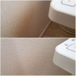 トイレクリーニングのご依頼です。の画像2