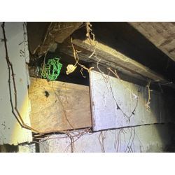 「何年もネズミに悩まされていたお宅の現地調査で感じたこと」の画像3