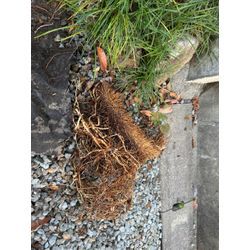 神戸市西区、一戸建て住宅排水管洗浄の画像2