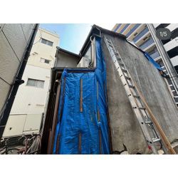 解体養生⛑️の画像1