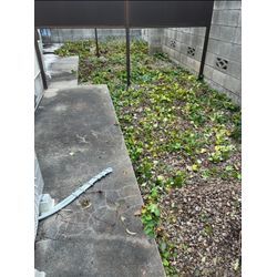 秋の冷え込みとともに進むお庭じまい｜ふじみ野・川越・練馬での作業報告の画像2