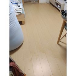 本日は晴天なり🎊の画像2