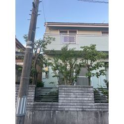 庭木の剪定の画像2