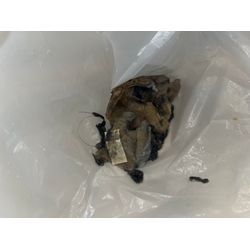 世田谷区でドラム式洗濯機の詰まり除去に行ってきました！の画像3