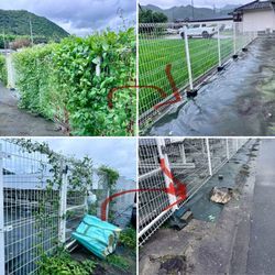 ソーラーパネル周りの除草の画像2