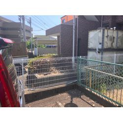 名古屋市　伐採の画像3