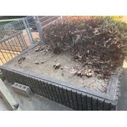 名古屋市　伐採の画像2