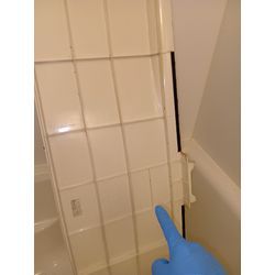 またまたお風呂に小バエの画像2